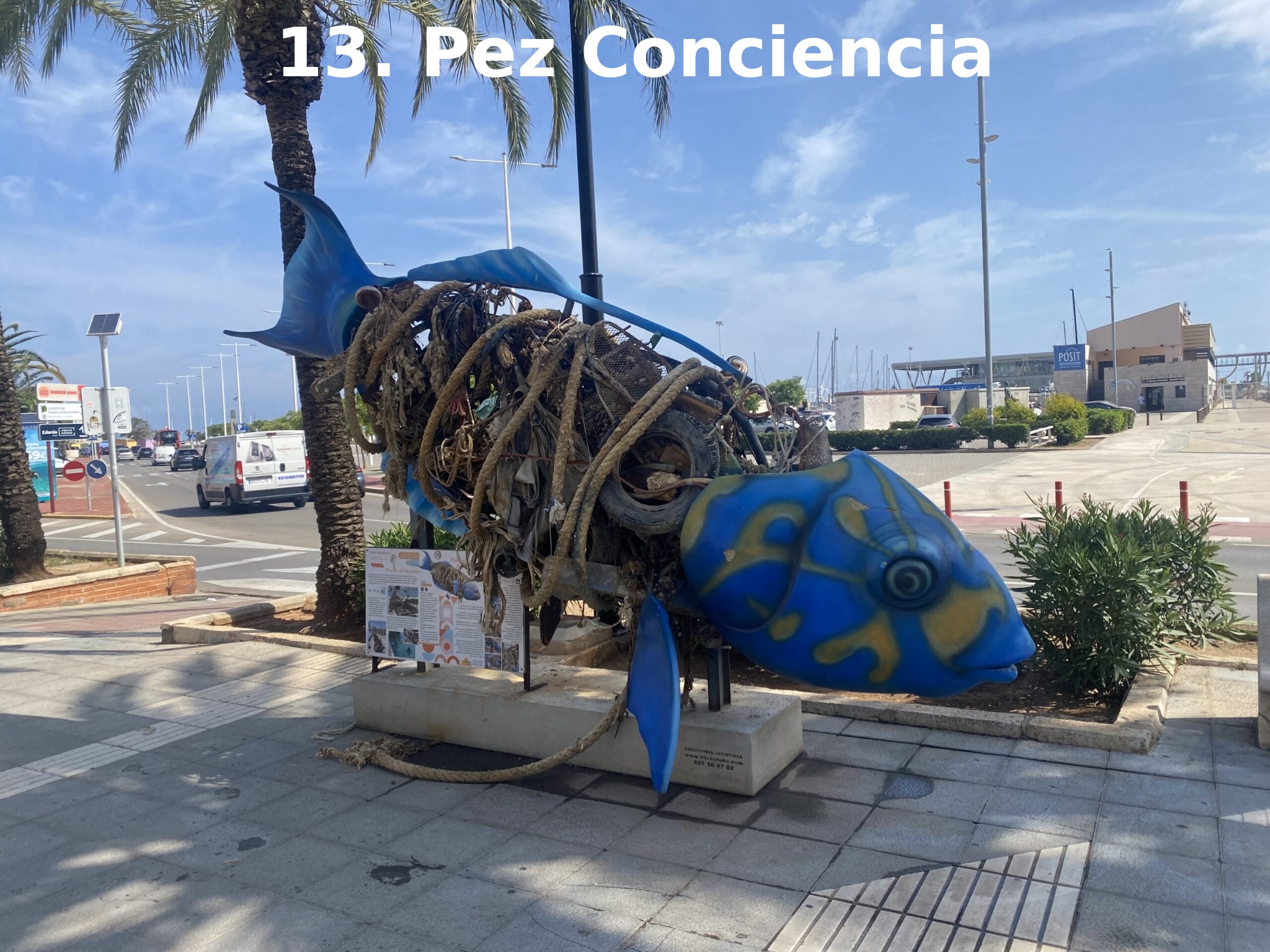 Pez Conciencia